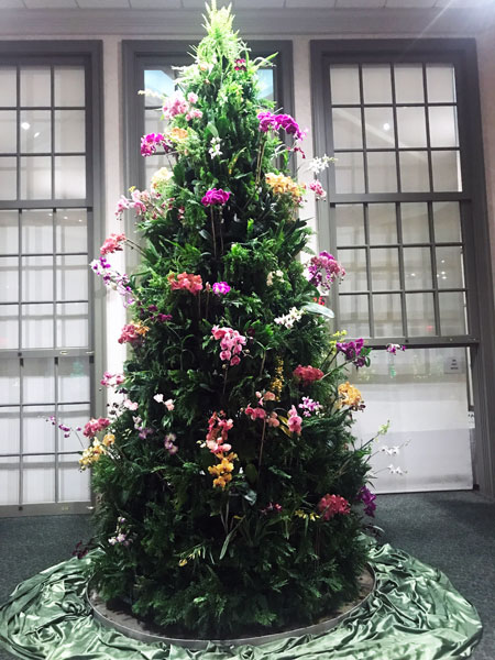 Christmas tree at Daniel Stowe Botanical Garden